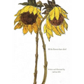 All the flowers have died