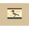 Audubon: Early Drawings
