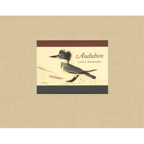 Audubon: Early Drawings
