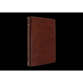 ESV Everyday Gospel Bible: Connecting Scripture to All of Life (Trutone, Chestnut)