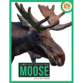 Moose