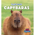 Capybaras