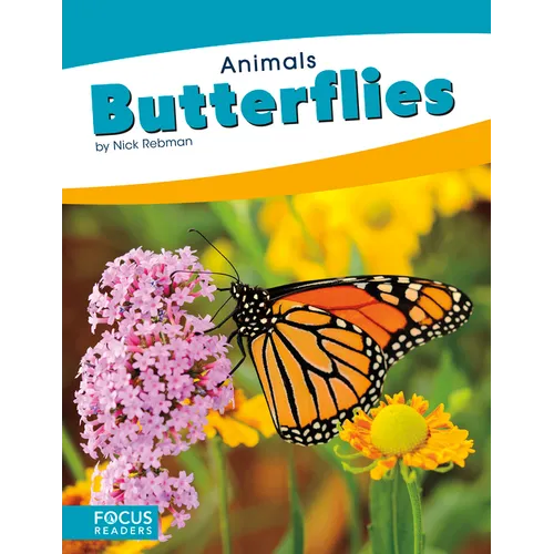 Butterflies