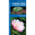 Alabama Trees & Wildflowers: A Folding Pocket Guide to Familiar Plants