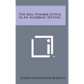 The Real Number System in an Algebraic Setting