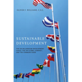 Sustainable Development: The UN Millennium Development Goals, the UN Global Compact, and the Common Good