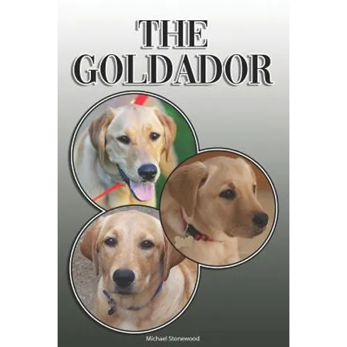 The Goldador: A Complete and Comprehensive Owners Guide To: Buying, Owning, Health, Grooming, Training, Obedience, Understanding and