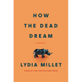 How the Dead Dream