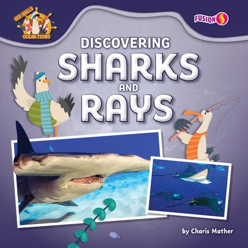 Discovering Sharks and Rays - Library Binding