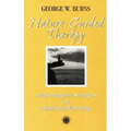 Nature Guided Therapy: Brief Integrative Strategies For Health And Well Being