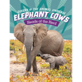 Elephant Cows: Heads of the Herd