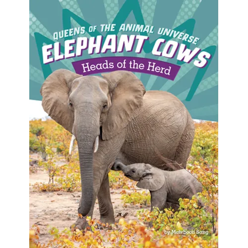 Elephant Cows: Heads of the Herd