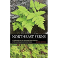 Northeast Ferns: A Field Guide to the Ferns and Fern Relatives of the Northeastern United States