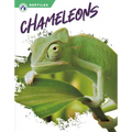 Chameleons