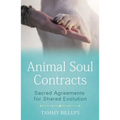 Animal Soul Contracts: Sacred Agreements for Shared Evolution