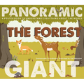 The Forest: A Poster Book to Understand Everything about the World