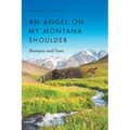 An Angel on My Montana Shoulder: Shampoo and Guns
