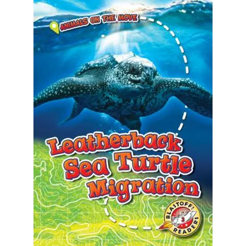 Leatherback Sea Turtle Migration