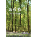 Le hêtre