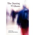 The Naming of Ghosts