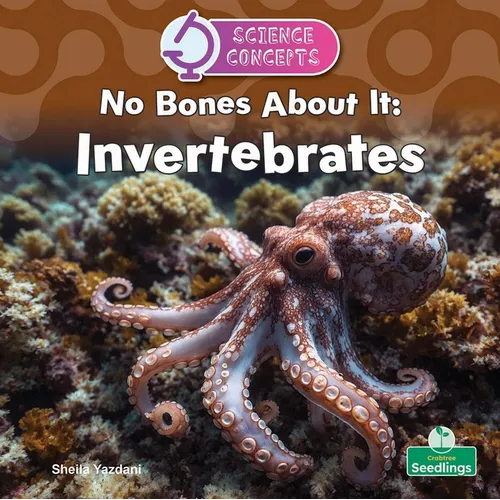 No Bones about It: Invertebrates