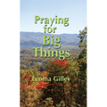 Praying for Big Things: Using God's Word to guide in Praying for the BIG issues in our world