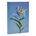 NRSV Catholic Edition Bible, Easter Lily Hardcover (Global Cover Series): Holy Bible