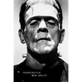 Frankenstein: (Special Edition)