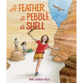 A Feather, a Pebble, a Shell