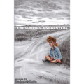 Crossroads Encounters