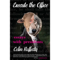 Execute the Office: Essays with Presidents