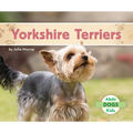 Yorkshire Terriers