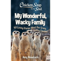 Chicken Soup for the Soul: My Wonderful, Wacky Family: 101 Loving Stories about Our Crazy, Quirky Families