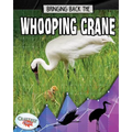 Bringing Back the Whooping Crane