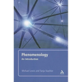 Phenomenology
