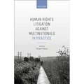 Human Rights Litigation Against Multinationals in Practice