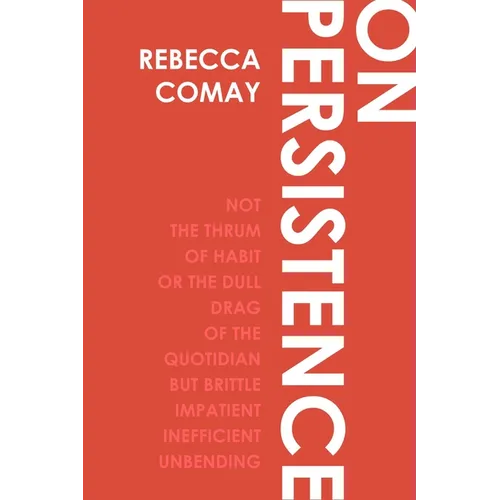 On Persistence