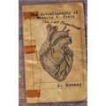 The Autobiography of Francis N. Stein: The Last Promethean