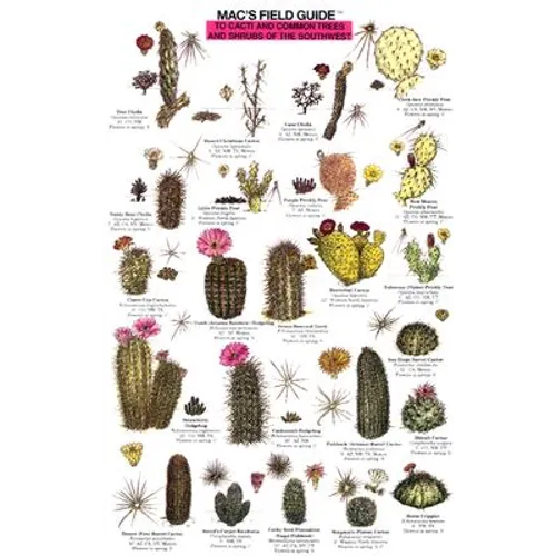 Mac's Field Guides: Southwest Cacti, Shrubs, Trees