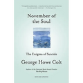 November of the Soul: The Enigma of Suicide