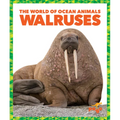 Walruses