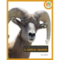El Borrego Cimarrón: Spanish Edition