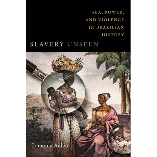 Slavery Unseen: Sex, Power, and Violence in Brazilian History