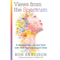 Views from the Spectrum: A Window Into Life and Faith with Your Neurodivergent Child