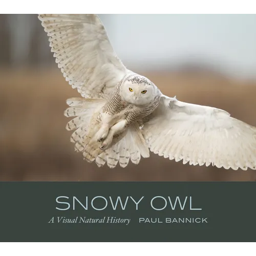 Snowy Owl: A Visual Natural History