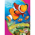 Clownfish