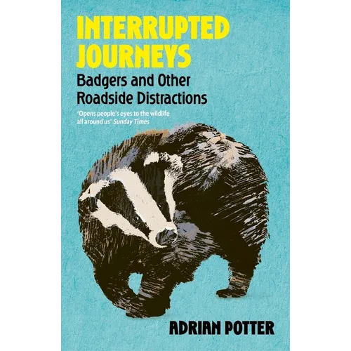 Interrupted Journeys