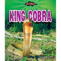 King Cobra