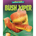 Bush Viper