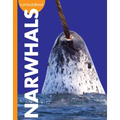 Curious about Narwhals